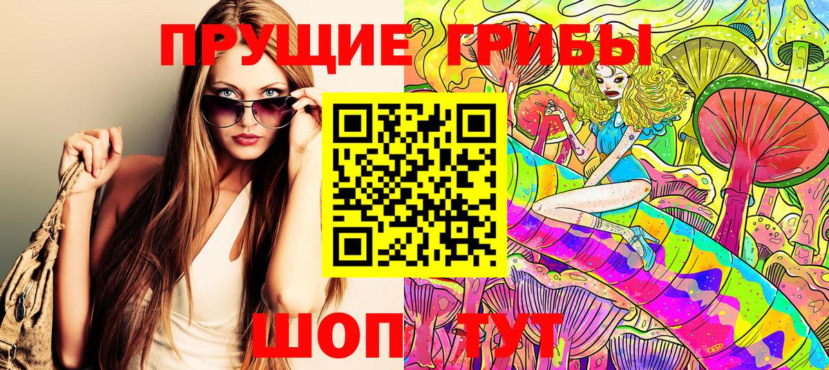Псилоцибиновые грибы прущие грибы Пермь